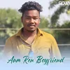 About Aam Ren Boyfriend Song